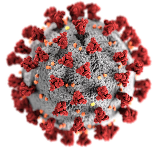 Fitxategi:COVID-19 pandemia. Virusa.jpg
