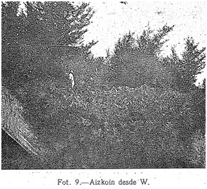 Fitxategi:Aizkoin 02 (Aranzadi, Barandiaran eta Eguren 1921).jpg