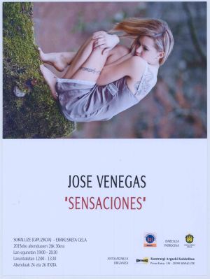Kontrargi erakusketa 2015. Sensaciones (José Venegas).jpg