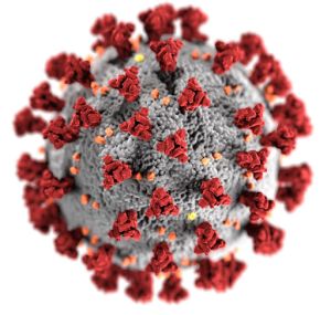 COVID-19 pandemia. Virusa.jpg