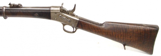 Remington fusila (Euscalduna 1867 eredua)