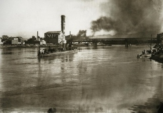 T1 Tortosara heltzen (1913)