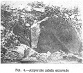Trikuharria industuta (Aranzadi, Barandiaran eta Eguren 1921)